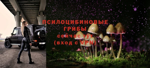 твердый Алексин