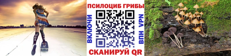 сколько стоит Бакал Галлюциногенные грибы Magic Shrooms