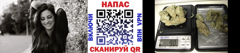 продажа наркотиков  Бакал  KRAKEN как зайти  МАРИХУАНА ГИДРОПОН 